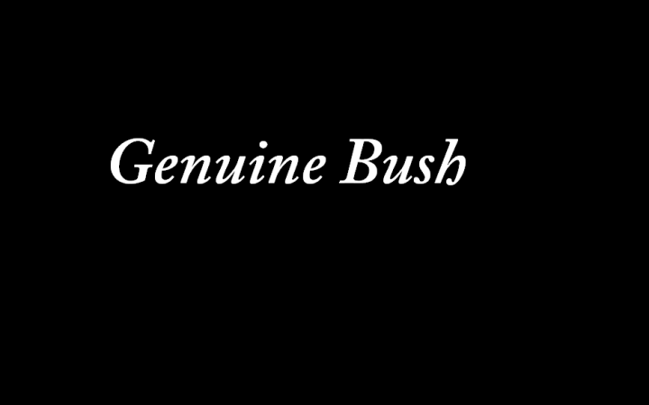 Genuine Bush – Sitting On A Bench In The Middle Of A Scattered Mind