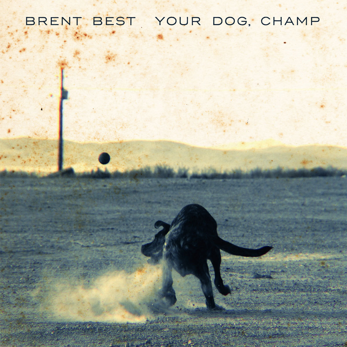 Brent Best – Your Dog, Champ