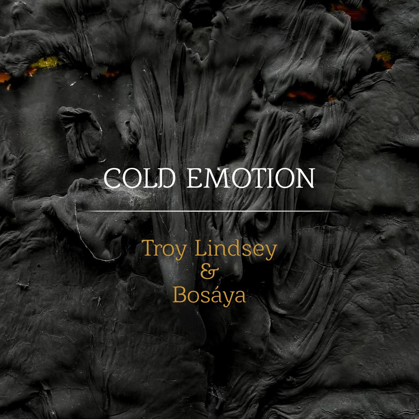  Troy Lindsey – “It’s Not Your Fault”