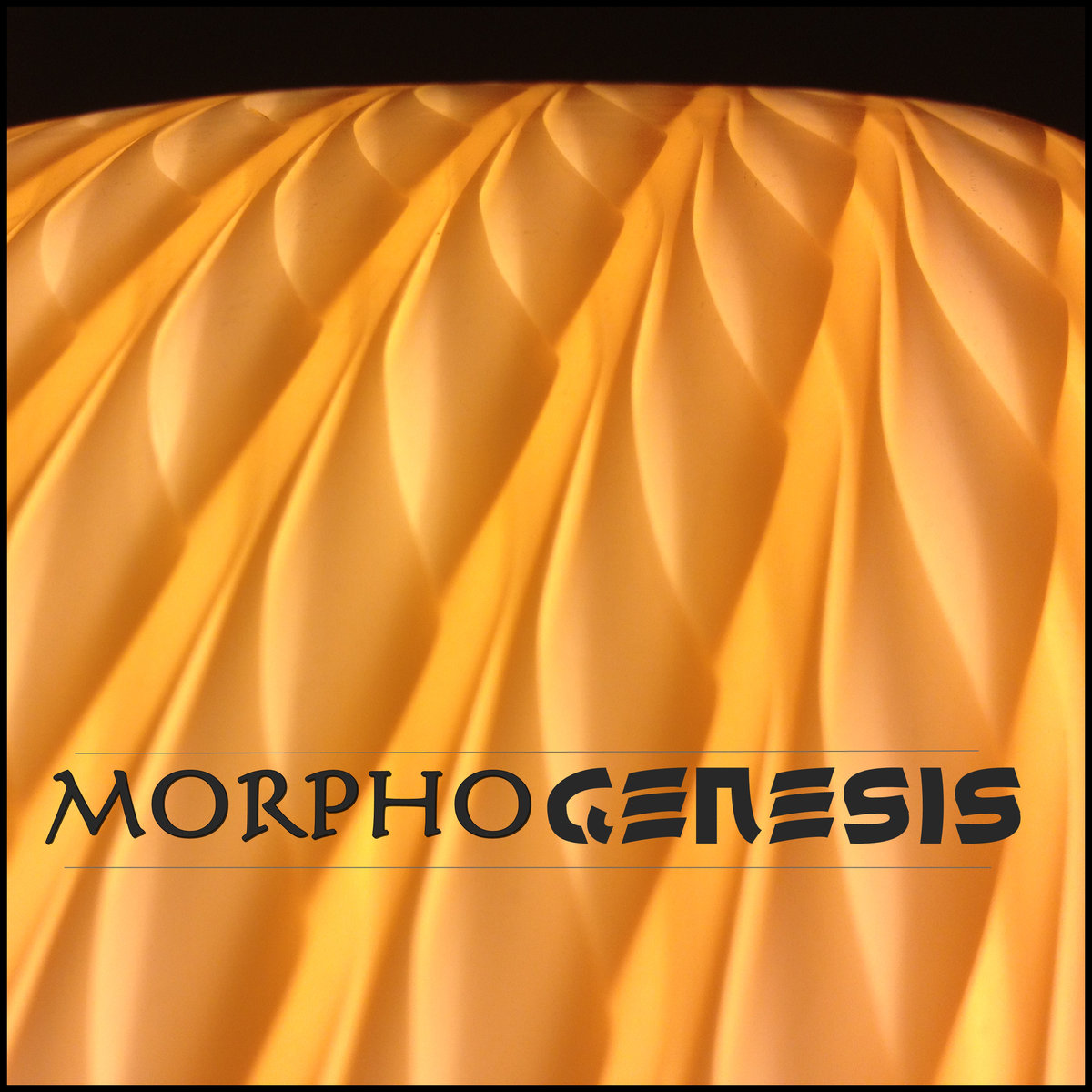  The Phlod-Nar – Morphogenesis
