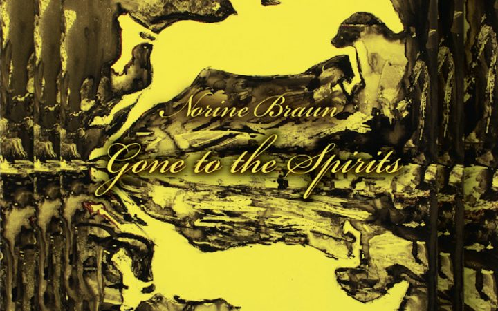 Norine Braun – Gone To The Spirits