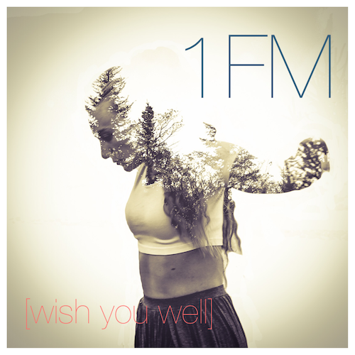 1FM – Wish You Well