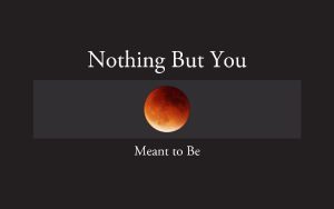 Nothing But You – Meant To Be
