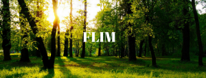 Flim – Positive Imagination
