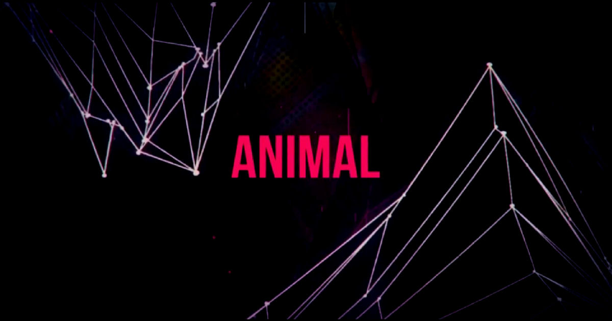  Dyemare – “Animal”