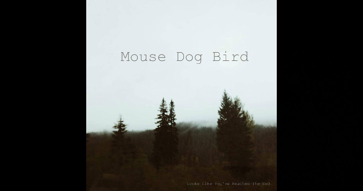  Mouse Dog Bird – Looks Like You’ve Reached The End Sampler