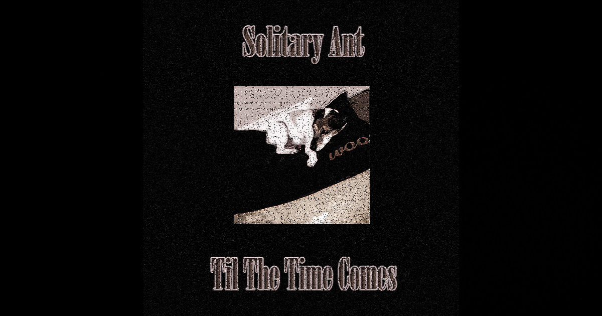  Solitary Ant – Til The Time Comes