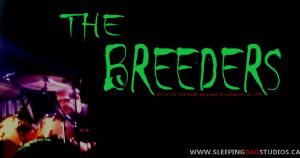 0203 - The Breeders (Live @ The Commodore 2015) Album II