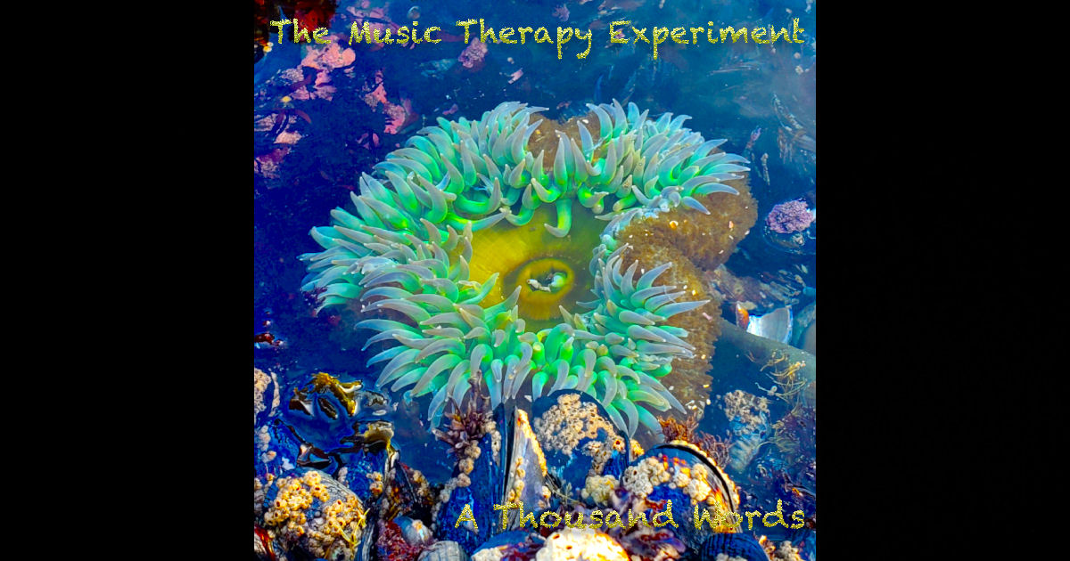  The Music Therapy Experiment – A Thousand Words