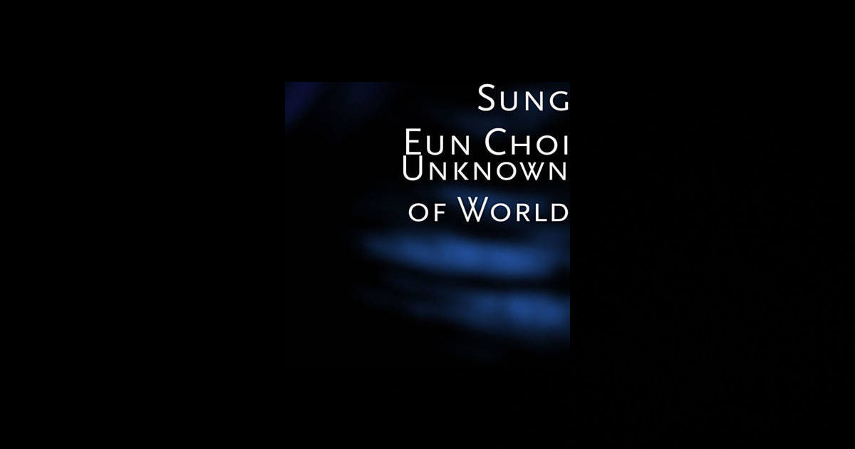  Sung Eun Choi – “Unknown Of World”