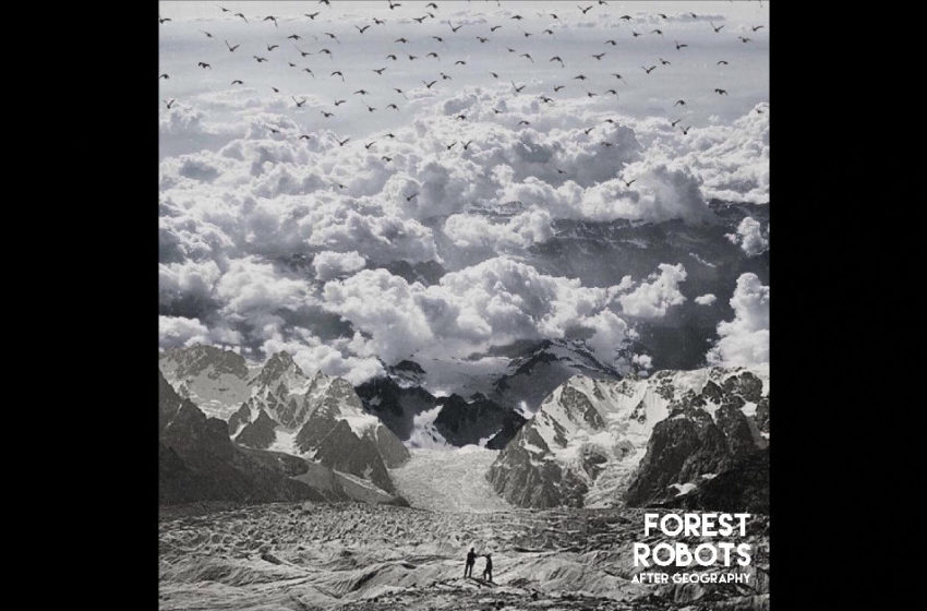 Forest Robots – After Geography