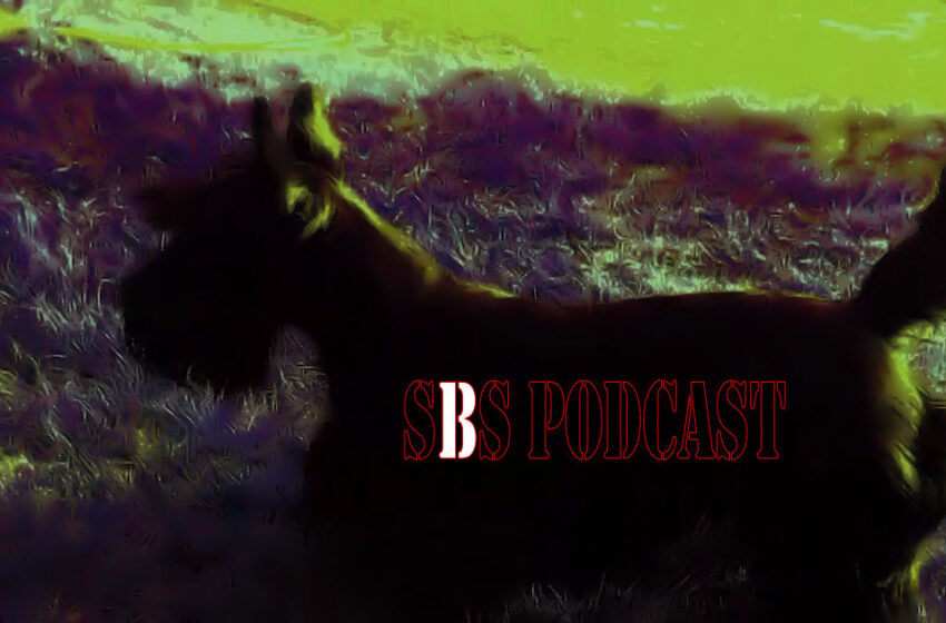  SBS Podcast 104