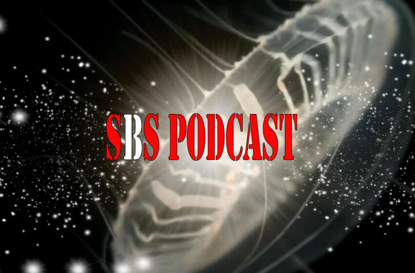  SBS Podcast 105