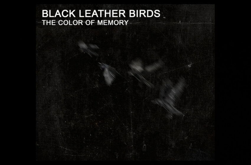  Black Leather Birds – The Color Of Memory