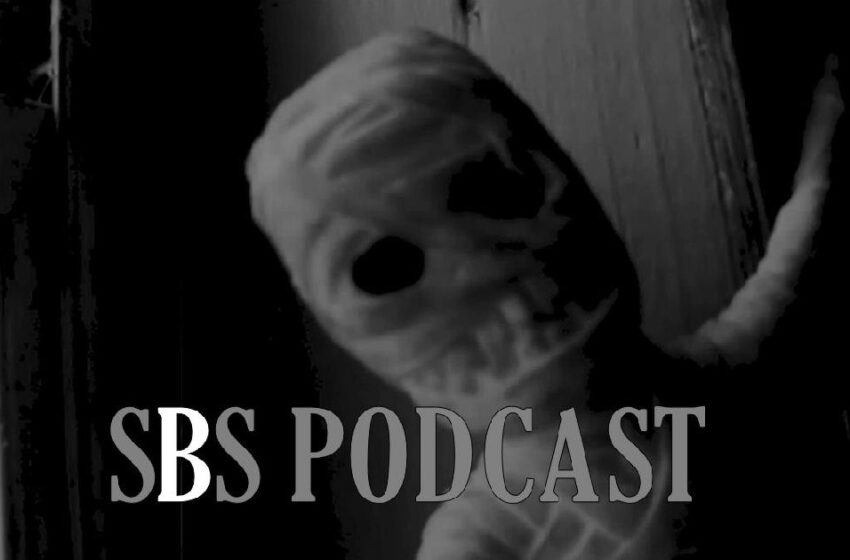  SBS Podcast 133