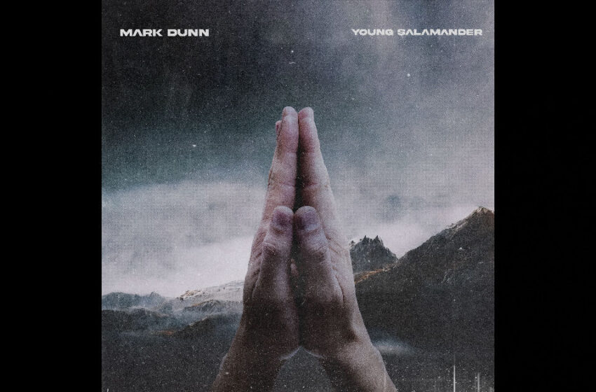  Mark Dunn – “Young Salamander”