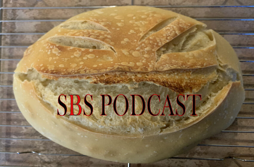  SBS Podcast 154