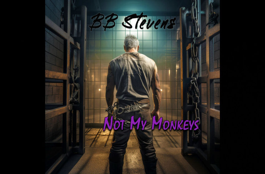  BB Stevens – Not My Monkeys