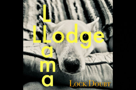 Llama Llodge – Lock Doubt