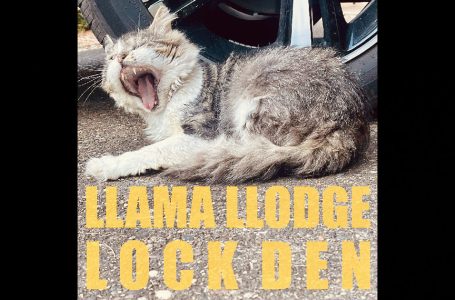 Llama Llodge – Lock Den