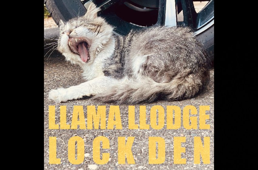  Llama Llodge – Lock Den